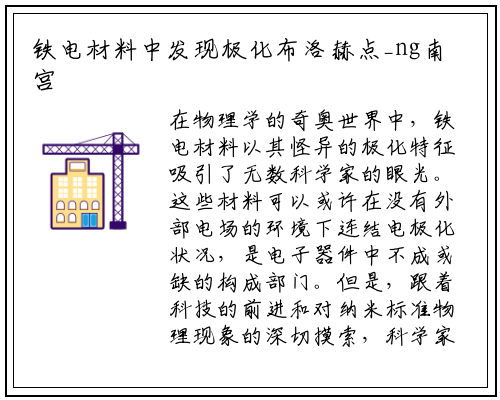 铁电材料中发现极化布洛赫点_ng南宫官网